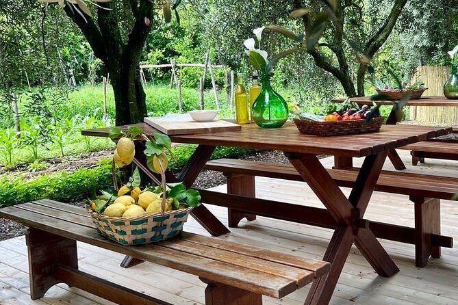 Cooking Class in a Typical Sorrento Garden - Key highlights you’ll care about