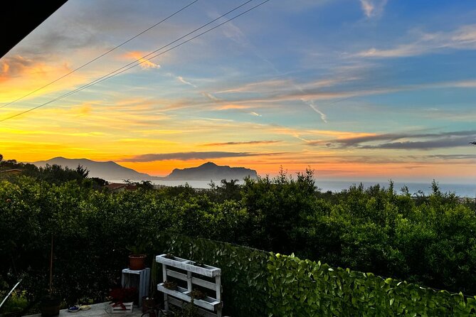 Cooking class in a villa with Palermo view - Cannoli or Tiramisu: The Sweet Part You’ll Want to Repeat