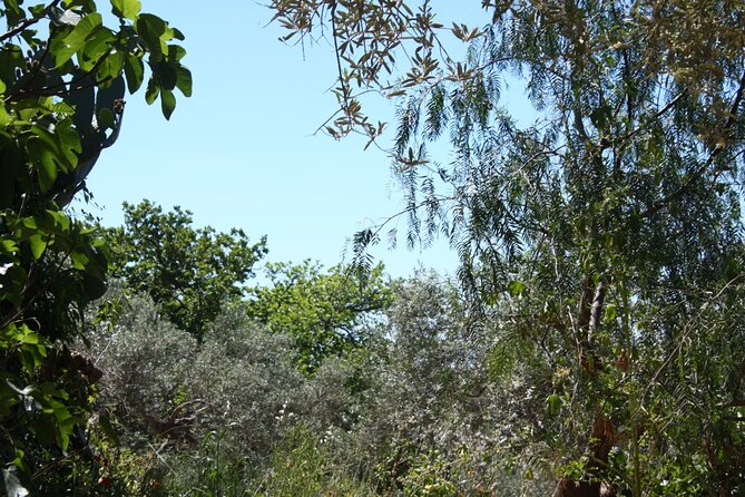 Cooking class in the countryside with Simona - Lunch time: terrace views in good weather, wood-stove comfort in winter