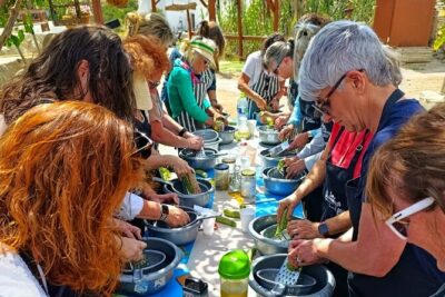 Cooking Class Sunset Dinner and Tour in Paros Farm - Garden tour first: how the ingredient gathering changes the meal