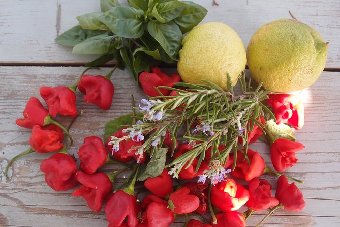 Cooking class, traditional Greek cuisine, on a Greek island - Wine and cheese pairing (extra 45€): how it fits the meal