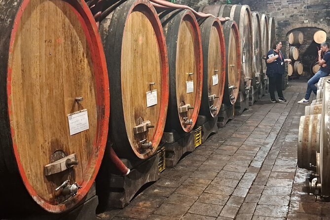Cooking class, visit to the wine cellar, 2500 year old granaries - What This Experience Is Best For (and Who Should Think Twice)