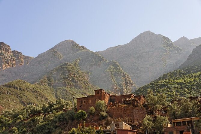 Cooking class with Berber Family and camel rides - Key things that make this day work