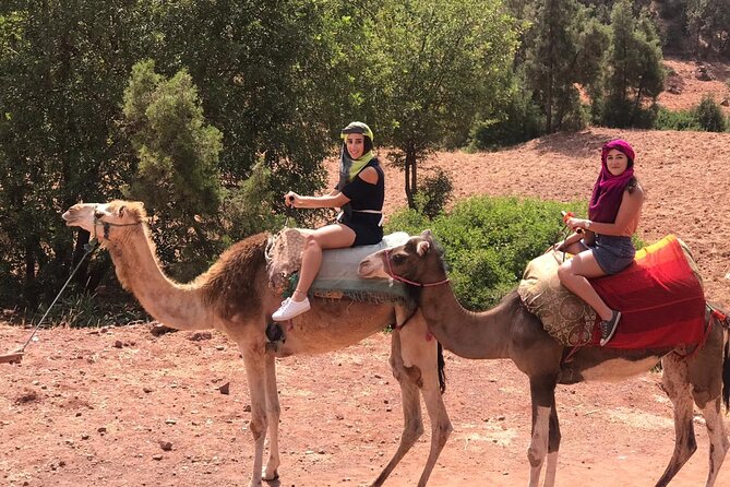 Cooking class with Berber Family and camel rides - A Marrakech day that starts with ingredients, not instructions