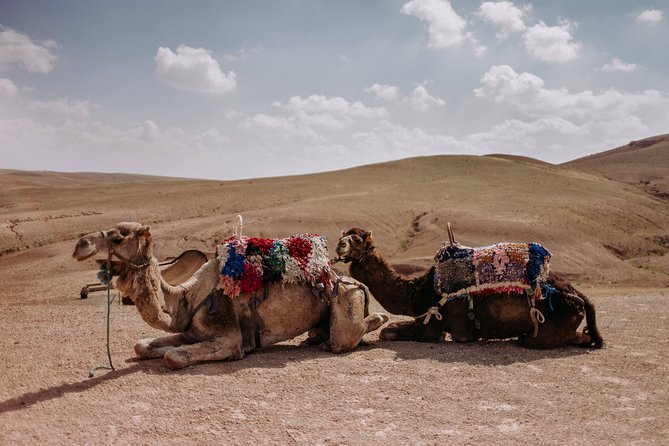 Cooking class with Berber Family and camel rides - Ourika Valley: La la Malika’s kitchen and a family-home afternoon