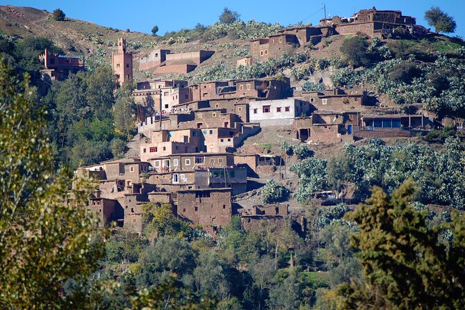 Cooking class with Berber Family and camel rides - Price and value: what you’re paying for at $176.18
