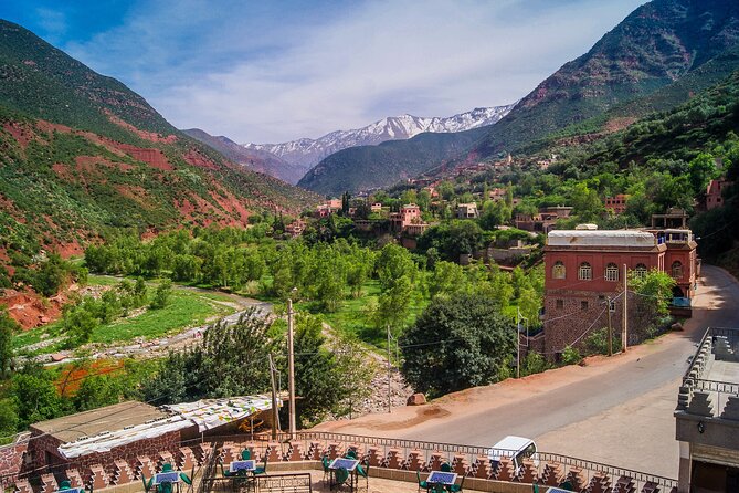 Cooking class with Berber Family and camel rides - Tnine Ourika: rooftop views, mint tea, and a real camel ride