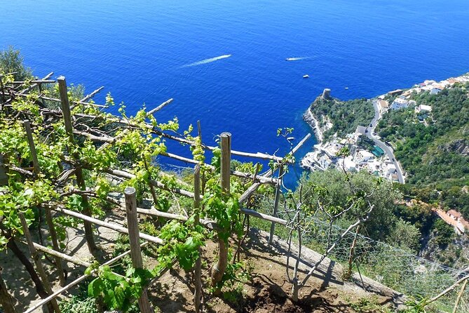 Cooking Class with garden visit - Views and pacing in Praiano: steps, rooftops, and weather rules