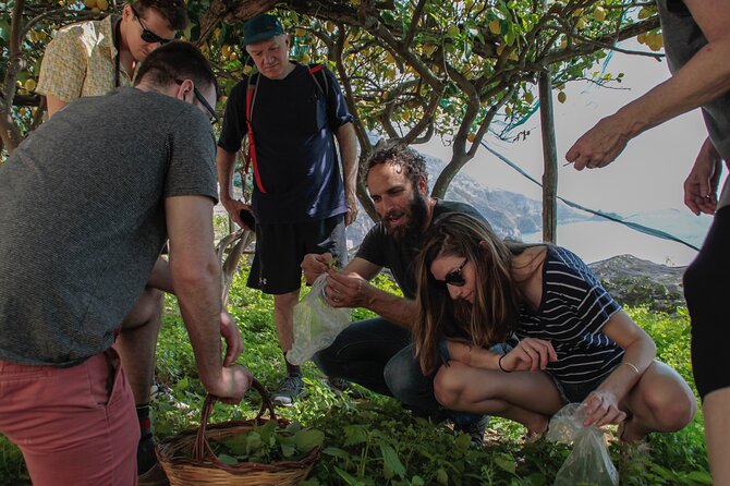 Cooking Class with garden visit - Guides and group size: why it feels personal with max 10 people