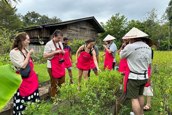 Cooking Class with Organic Farm in Chiang Mai - Key points before you go