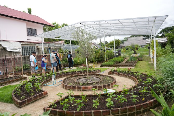 Cooking Class with Organic Farm in Chiang Mai at Mama Noi - Organic kitchen garden: see herbs in their real setting