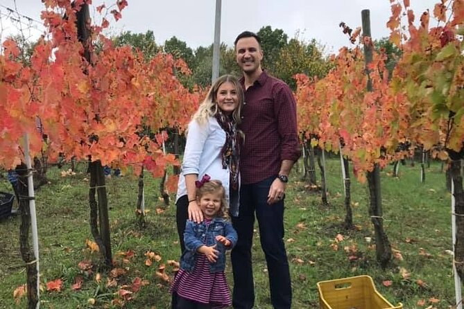 Cortecorbo Irpinia-wines: tour of the vineyards- Cooking class- wine tasting - Inside the Cantina: How Wine Is Made and Why Wood Aging Matters