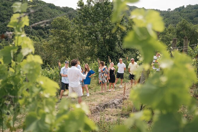 Cortecorbo winery: Pizza Cooking class, lunch & wine tasting - What you actually eat: menu breakdown and why it works