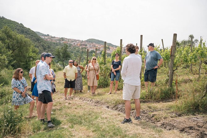 Cortecorbo winery: Pizza Cooking class, lunch & wine tasting - Price and value: is $120.02 per person fair?