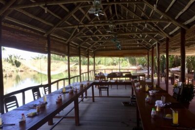 Eco Cooking Class and Basket boat tour from Da Nang/ Hoi An - The Hands-On Stops: Rice Milk, Rice Paper, and Spring Rolls