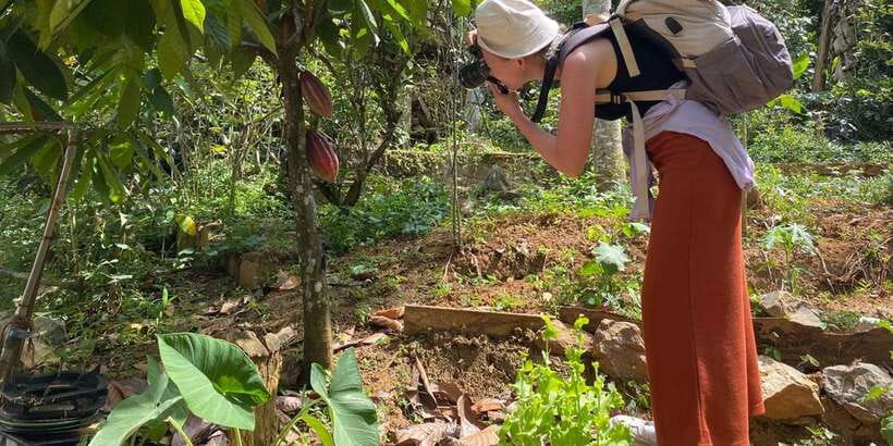 Ella : Cooking class with amazing Spice Garden Tour - Price and value: Why $32 feels fair for a full meal and real cooking work