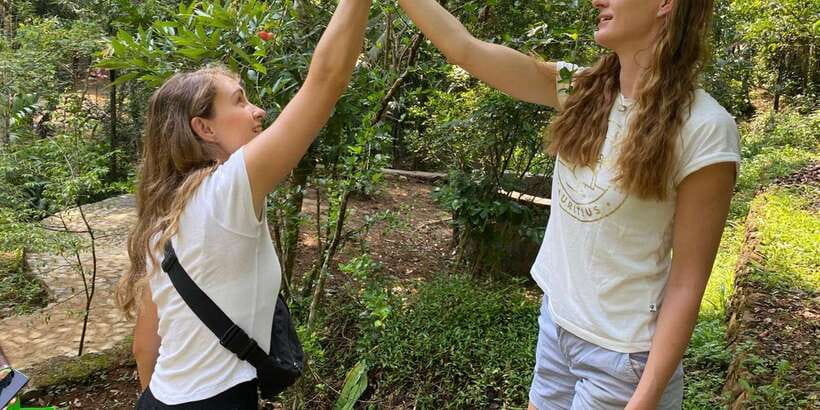 Ella : Cooking class with amazing Spice Garden Tour - Meeting the spices: What you learn plant-by-plant and why it helps you cook