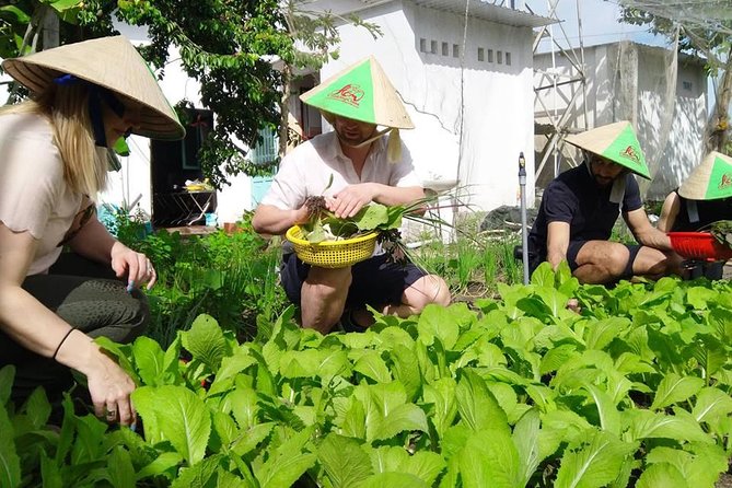 Explore Vietnamese Cuisine: Cooking Class from Ho Chi Minh City - Lunch you make: eat your work and take recipes home