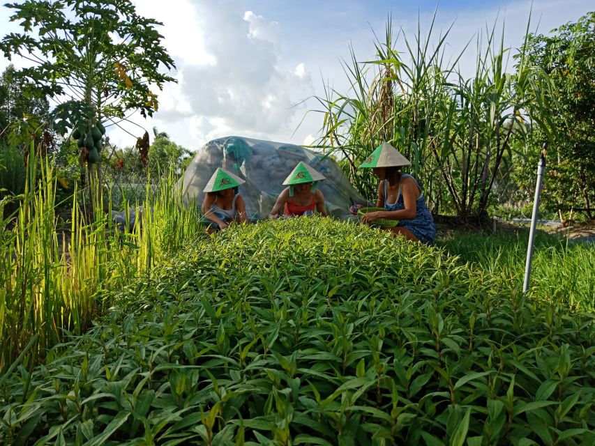 Farm-To-Table Healthy Cooking Class: Half-Day Tour - Farm-to-table Healthy Cooking Class in Ho Chi Minh City: what you’re really signing up for