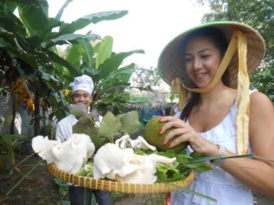 Farm-To-Table Healthy Cooking Class: Half-Day Tour - The medicine garden: herbs, plants, and the lesson behind healthy cooking
