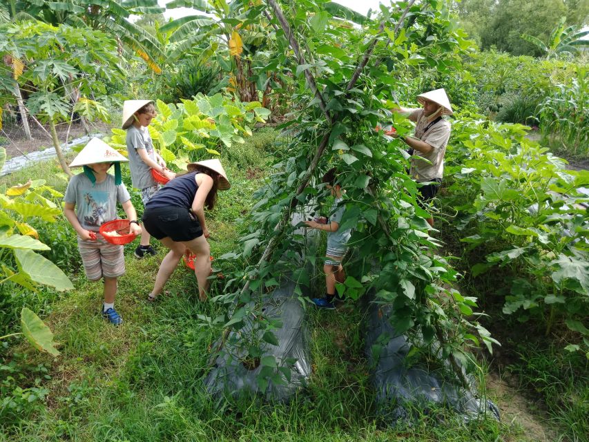 Farm-To-Table Healthy Cooking Class: Half-Day Tour - Who this class suits best (and who might rethink it)
