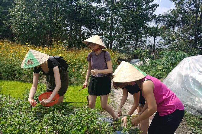 Farm-To-Table Healthy Cooking Class in Ho Chi Minh City - Cooking outside with a master chef: healthy techniques that make sense
