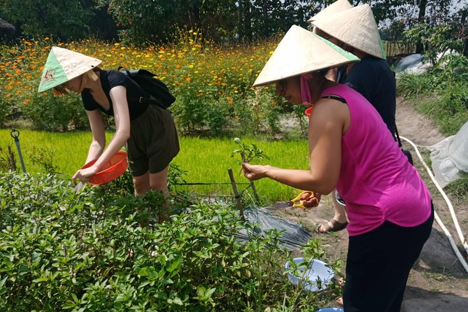 Farm-To-Table Healthy Cooking Class in Ho Chi Minh City - The four dishes you’ll make: learning by doing, not just eating