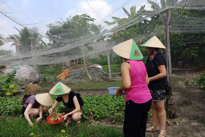 Farm-To-Table Healthy Cooking Class in Ho Chi Minh City - Equipment, guides, and what’s included in the price