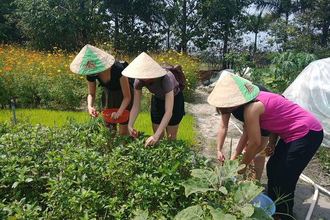 Farm-To-Table Healthy Cooking Class in Ho Chi Minh City - Farm tour walkthrough: cows, buffalo, herbs, spices, and practical nutrition