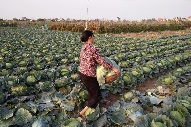 Farm tour & Home cooking class with local family in Hanoi - Key highlights you’ll care about