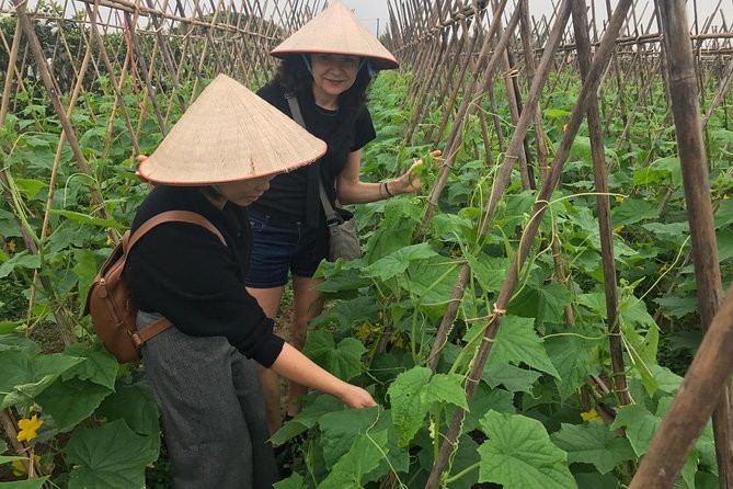 Farm tour & Home cooking class with local family in Hanoi - From communal house to cooking class: how the morning plays out in Hanoi