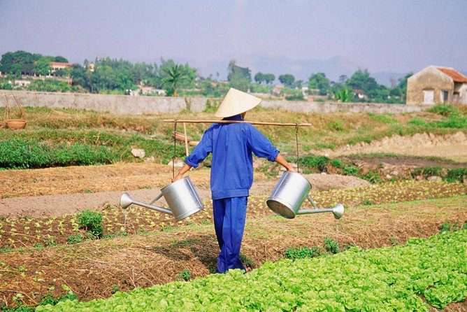 Farming & Cooking Class in Hoi An - Small Group Tour - Key Things I’d Pay Attention To