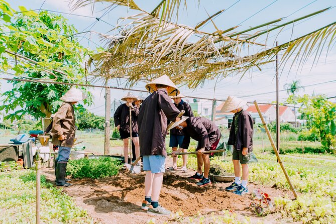 Farming & Cooking Class in Hoi An - Small Group Tour - Cooking Class With Chef Guidance: papaya salad, spring rolls, banh xeo, clay pot fish