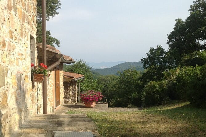 Florence Cooking Class in a Gorgeous Countryside Home with Maria - How the optional market time works at Il Mercato Centrale (San Lorenzo)