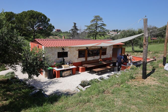 Focaccia and Pesto Cooking Class in the Roman Countryside - Starters, pasta, and local wine: eating the day, not just learning it