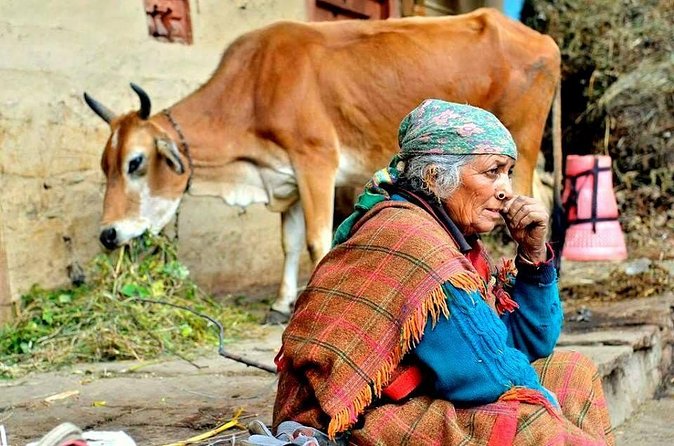 Food Tour With Cooking Class in Local Village from Delhi - Price and Logistics: Is $79 Good Value for a 12-Hour Day?