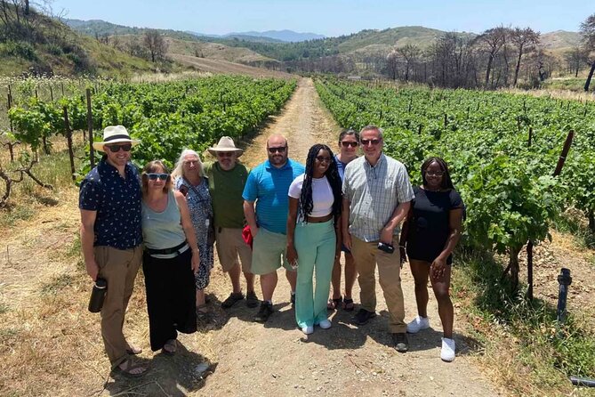 Food & Wine Tour: 11- Course Lunch, Cooking Class, Wine Tasting - Meeting at 10:15 and getting to the winery without stress