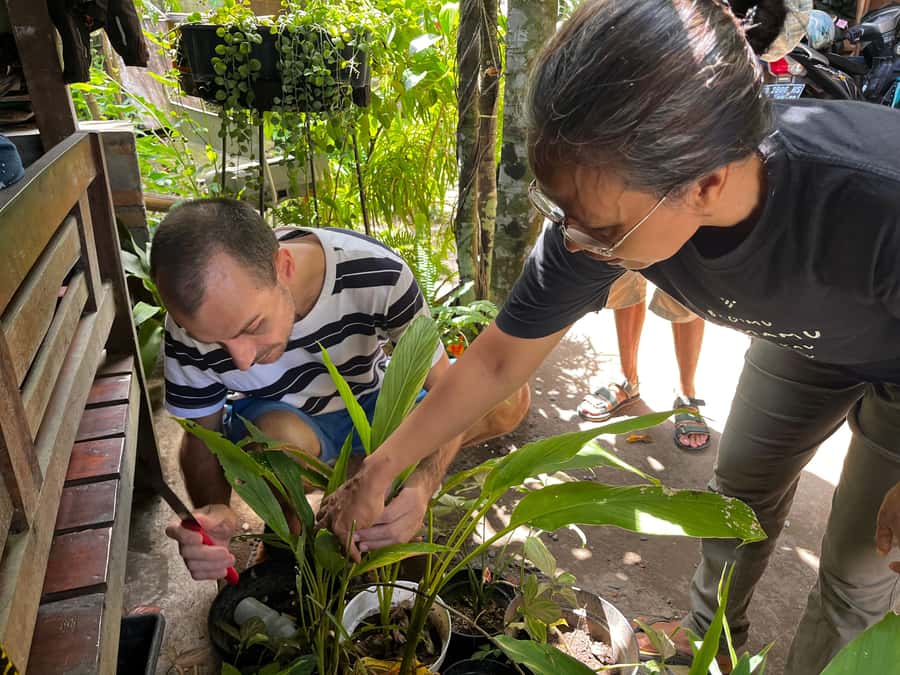From Garden to Table: Indonesian Cooking Class in Yogyakarta - Farm-to-table cooking in Yogyakarta, without the touristy script