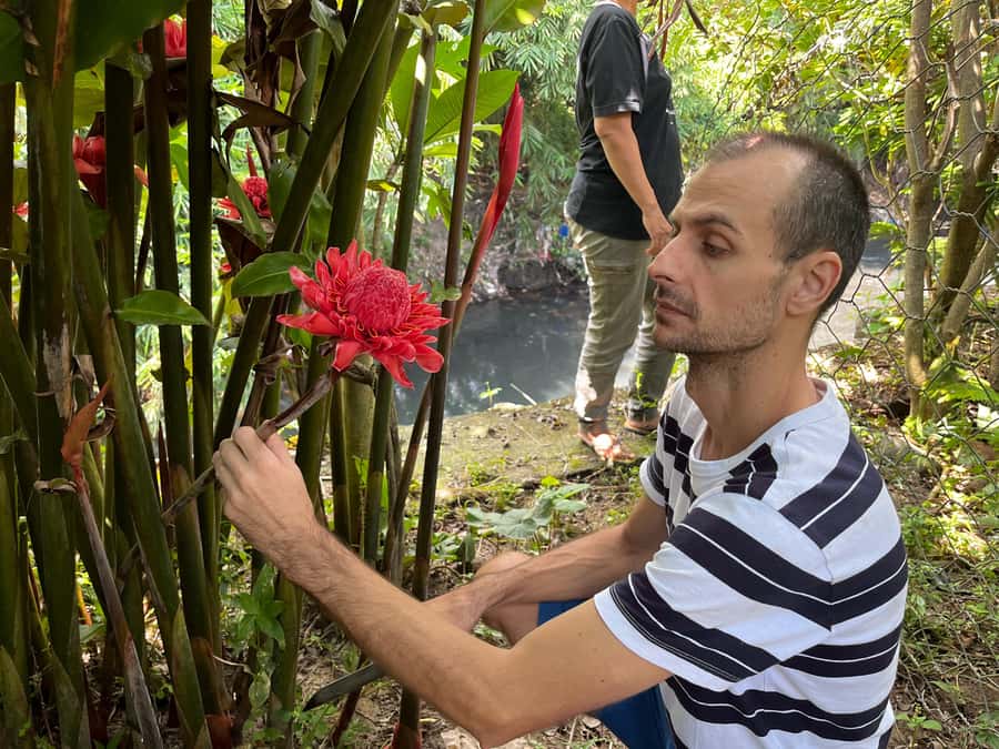From Garden to Table: Indonesian Cooking Class in Yogyakarta - Garden harvest: herbs, rhizomes, and a cat-approved atmosphere