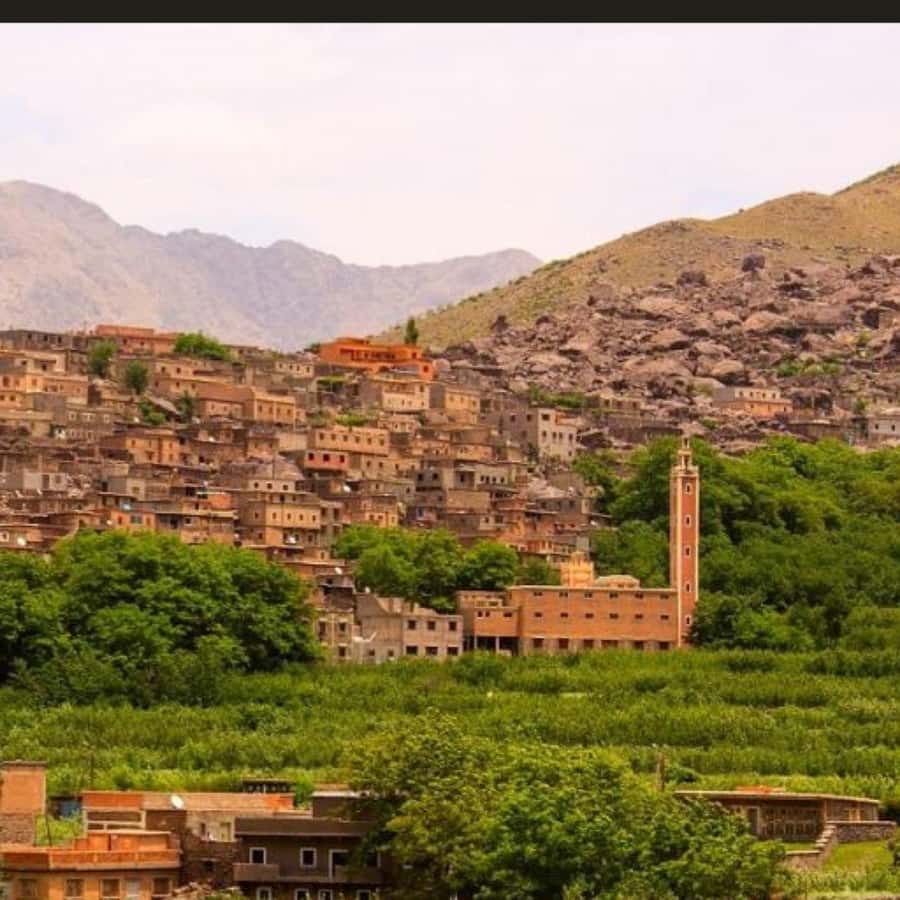 From Marrakech: Atlas Mountains & Berber Lunch - Traditional lunch at a home: why the meal feels like the point