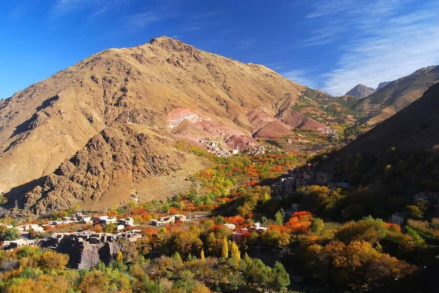 From Marrakech: High Atlas Berber Cooking Class - Entering a Berber household: Hospitality you can feel