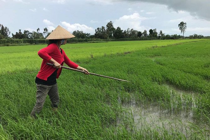 FULL Day - CAI RANG FLOATING MARKET, COOKING CLASS AND EXPLORE THE COUNTRYSIDE - Price and Logistics: Does $119 Feel Worth It?