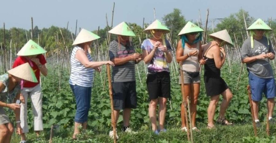 Full-Day Farming & Cooking class at Agricultural Village - Key things I’d focus on before you go