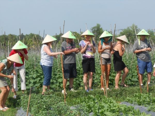 Full-Day Farming & Cooking class at Agricultural Village - Morning in the Fields: Cows, Crops, and Mushroom Growing Lessons