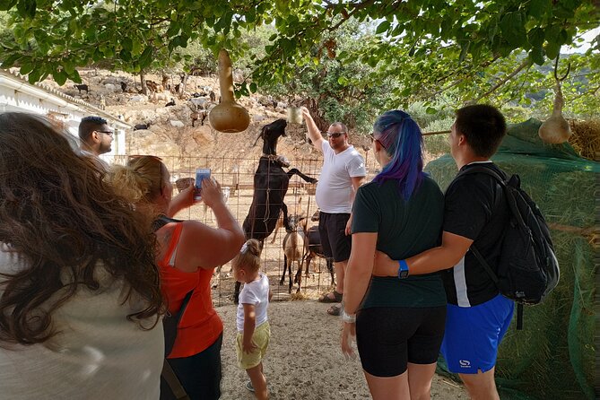 Full-Day Jeep Safari Tour with Cooking Lesson - Ano Kera and the Ebassas gorge road: herbs, mountains, and dirt-road views