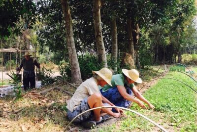 Full Day Siem Reap Farm Tour with Cooking Class and Monk Blessing - Getting Your Hands Dirty: Farming Work You Can Actually Try