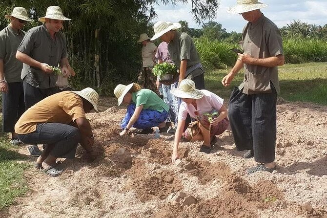 Full Day Siem Reap Farm Tour with Cooking Class and Monk Blessing - Monk Blessing and Sacred Water: A Quiet Cultural Moment