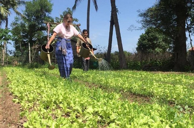 Full Day Siem Reap Farm Tour with Cooking Class and Monk Blessing - Lunch in a Serene Setting: Simple Food With Context