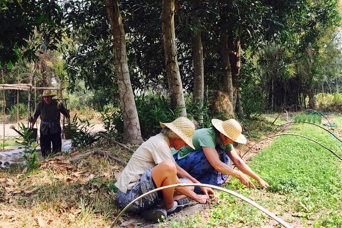 Full Day Siem Reap Farm Tour with Cooking Class and Monk Blessing - Getting Your Hands Dirty: Farming Work You Can Actually Try