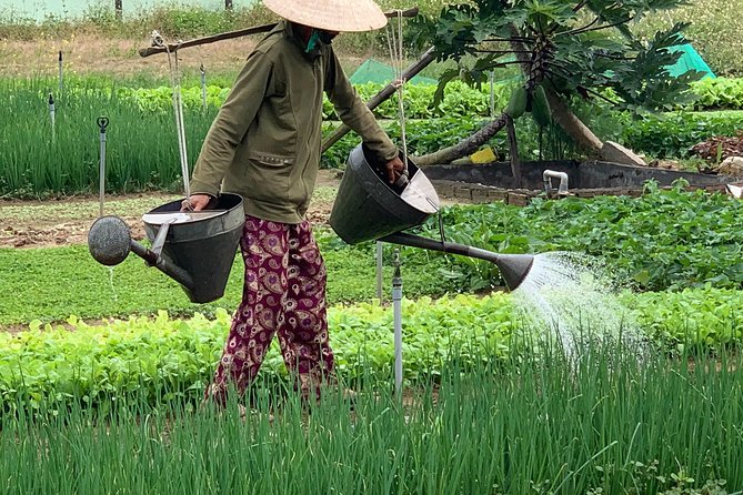 Full Experience Tour: Cooking Class & Basket Boat at Eco-Village - A small-group day in Hoi An’s Tra Que area (and why that matters)